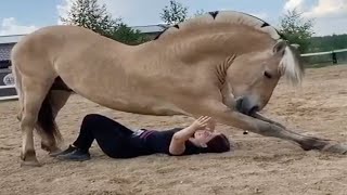 Best horse videos - These Funny And cute Horses are a must watch! P9