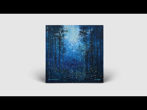 Polynation - Bloom