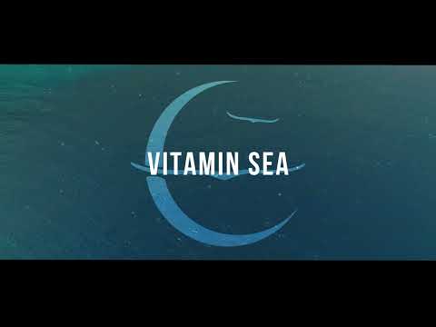 Owl City - Vitamin Sea (Official Lyric Video) #music #Officialvideo