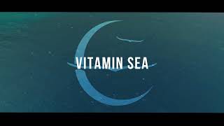 Musik-Video-Miniaturansicht zu Vitamin Sea Songtext von Owl City