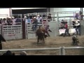 SG Shae Marks Vs Nervous Breakdown