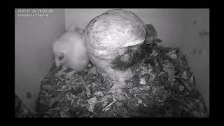 8ème et dernière naissance !