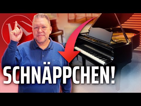 Flügelschnäppchen bei Maiwald - Preiswerte Flügel kaufen - Februar 2025