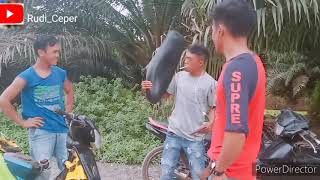 Download lagu Bosna Di Lawang Vidio Terlucu 😅 mp3