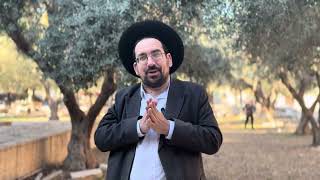 בחיבור ישראל נבנה המקדש | הרב אליהו ובר (ישיבת הר הבית) - התמונה מוצגת ישירות מתוך אתר האינטרנט יוטיוב. זכויות היוצרים בתמונה שייכות ליוצרה. קישור קרדיט למקור התוכן נמצא בתוך דף הסרטון