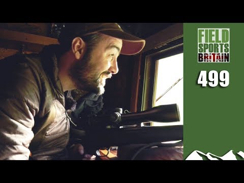 Fieldsports Britain - Wild boar meat feast
