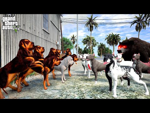 THE FINAL BATTLE! THE PITBULL FAMILY PROVES THEY ARE THE KING OF THE CITY! - GTA 5