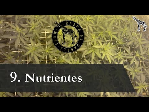 , title : 'Nutrientes - Vídeo 11 - Curso de Crescimento e Produção de Cannabis Medicinal'