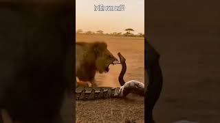 I Can't Believe This Actually Happened...