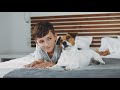 Travel With Pets How To Find The Perfect Pet Friendly Hotels