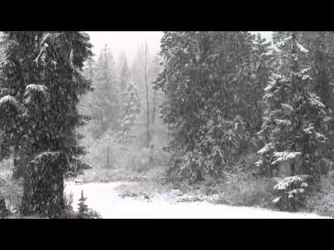 Fast Falling Snow 1080p Hd Without Music
