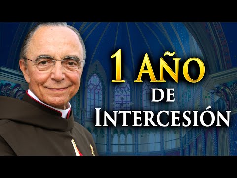 Impressive testimonies of the intercession of Monsignor Joao Cla - Salve Maria Podcast #226