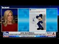 Minnie Mouse Makeover Causes Mini Fox Meltdown