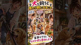 犬を飼うと当たり前になること「家事をすると、なぜか犬も参加します。」