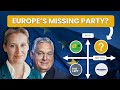 Is Europe Missing A Right Wing Pro EU Party
