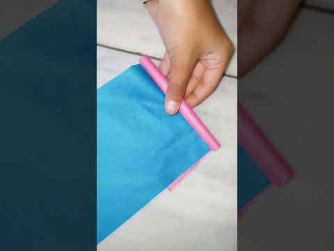 fancy art note book shorts