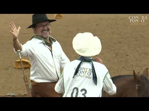 Contraponto de Paleteada 2026 - Placas Pretas da Delegação do Paraná  - 3ª Colocada