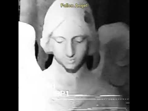R3D ALMA Music Video