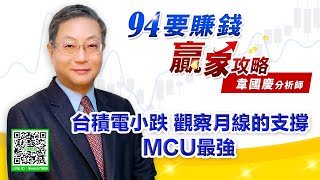 台積電小跌 觀察月線的支撐 MCU最強