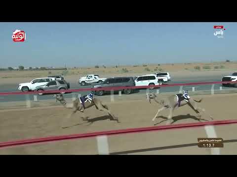  ش 28 (هدنه) لـ أحمد خلفان بالصايغ المزروعي 2:16:7 , تسعيرة بن حماد الشامسي 2026/04/18 فطامين 