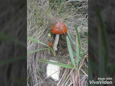 Las Moyas y camino a la Calera. Cerros de Bogotá.Fitpark