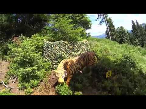 AfriBow Bericht: BSV Lakota