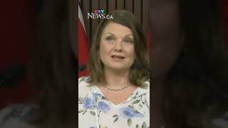 Here's why the Green Party thinks AI data centres are not good for the province