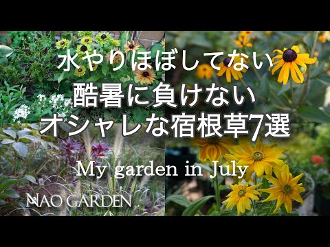 composition-jardinière-été-pétunias-mobilier-métal