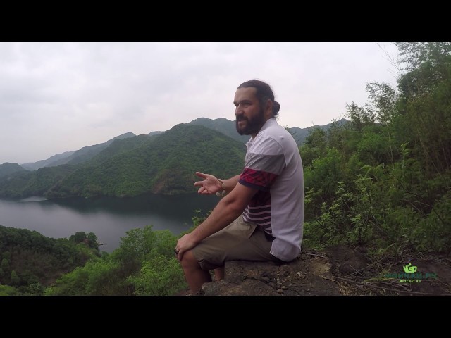 Чай не дня всех?! Для кого подходит Чайная Культура.