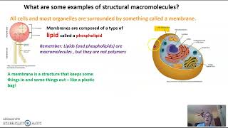 Introduction to biological macromolecules