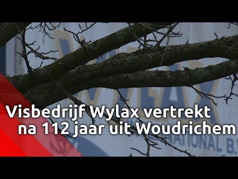 Visverwerkingsbedrijf Wylax vertrekt na 112 jaar uit visserij en vestingstad Woudrichem