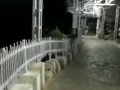 Mata Vaishno Devi Yatra Night View