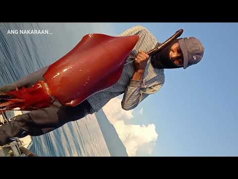 PART II of Vlog 1/ Catching Diamondback Orange Squid using traditional Method. August 30, 2022