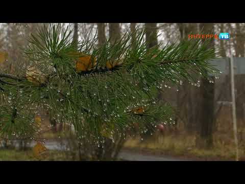 «Начинается предзимье»: в Первоуральск на выходных придёт похолодание
