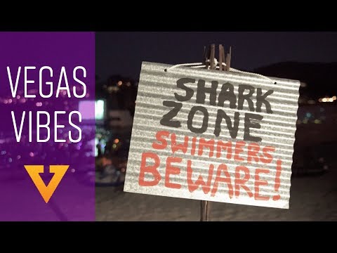 Vegas Vibes Ep. 8: Jaws On The Lake