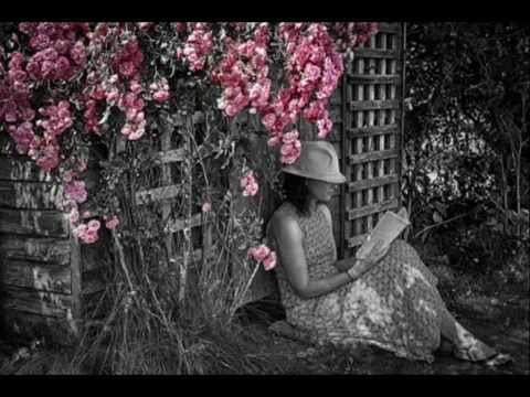 The Super Premium Band - New Waltz