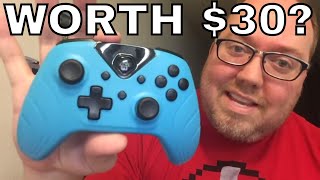 Retro Fighters Nintendo Switch Controller - Worth $30?
