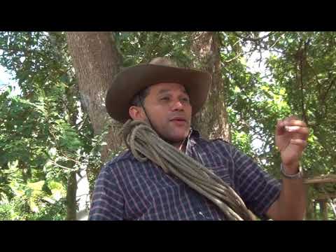 Carnaval Valiente - Cesar Montoya