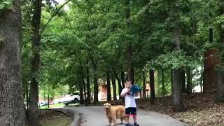 Autism Service Dog Redirects Boy Away From Street