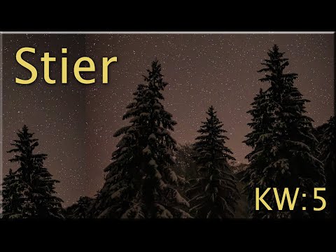 ♉ Stier - KW 5 ♉  -  Tarot Wochenausblick  -