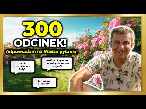 300 odcinków na kanale! Odcinek specjalny - Odpowiadam na Wasze pytania! Q&A