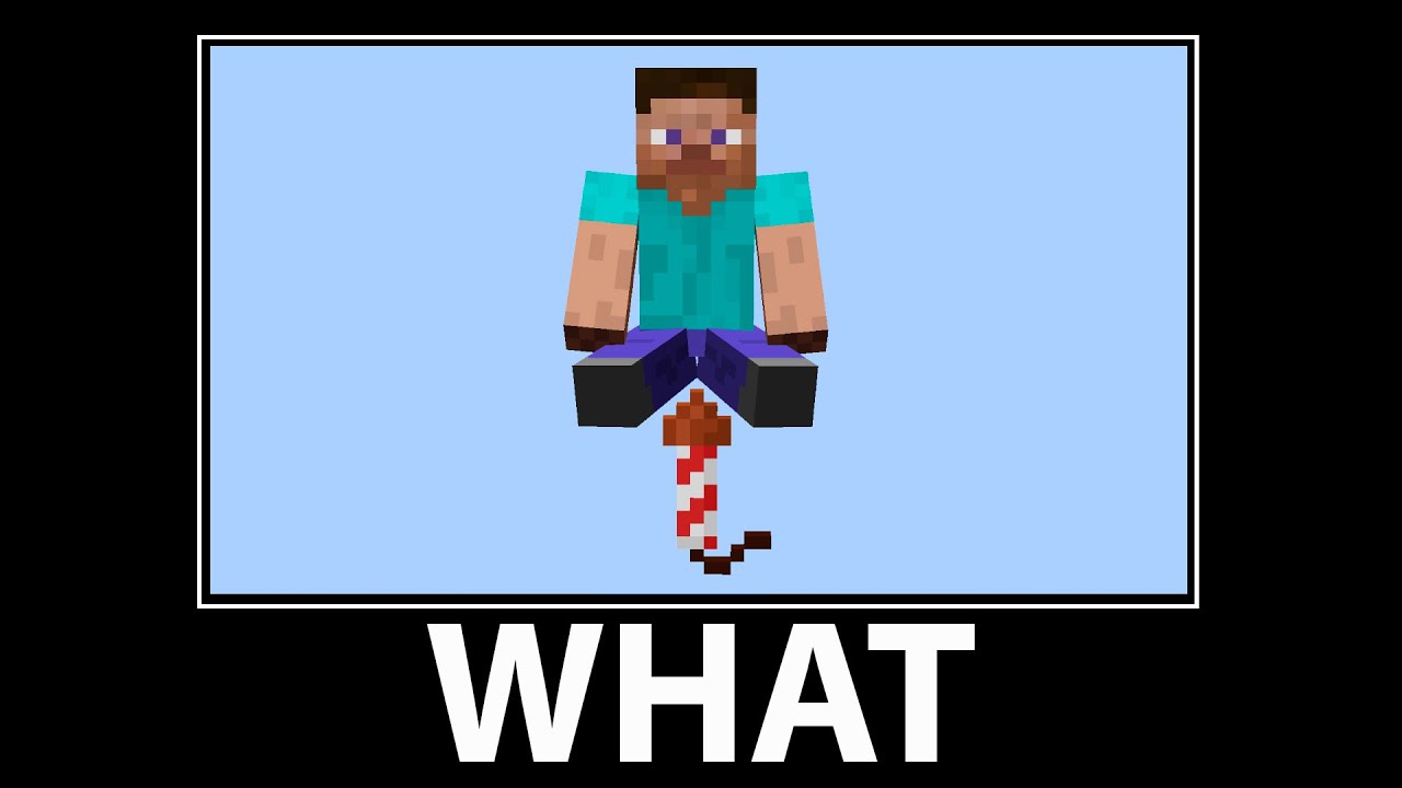 WAIT WHAT - Minecraft #22