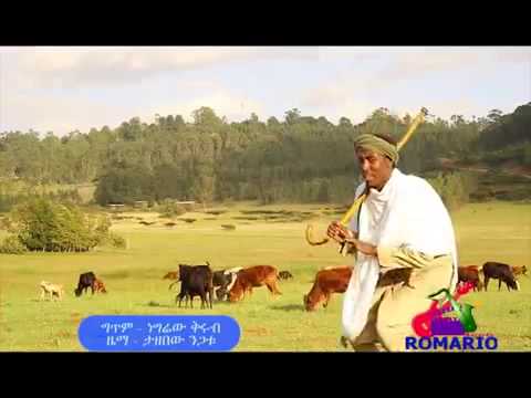 Best New Ethiopian music 2014 Romario records present ዳኜ ዋለ ውብ አበባ   YouTube