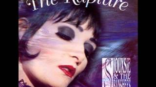 Siouxsie and The Banshees - Sick Child