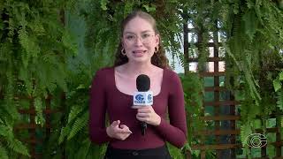 ASA não quebra tabu e segue sem vencer Confiança desde 2015 - 16/4/26