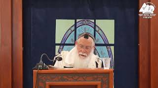 לא להתענות ולומר תחנון בחודש ניסן | הרב אליקים לבנון | הלכות פסח תשפ"ה | 2 (ישיבת ברכת יוסף - אלון מורה) - התמונה מוצגת ישירות מתוך אתר האינטרנט יוטיוב. זכויות היוצרים בתמונה שייכות ליוצרה. קישור קרדיט למקור התוכן נמצא בתוך דף הסרטון לא להתענות ולומר תחנון בחודש ניסן | הרב אליקים לבנון | הלכות פסח תשפ"ה | 2 (ישיבת ברכת יוסף - אלון מורה) - התמונה מוצגת ישירות מתוך אתר האינטרנט יוטיוב. זכויות היוצרים בתמונה שייכות ליוצרה. קישור קרדיט למקור התוכן נמצא בתוך דף הסרטון