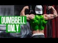 BACK WORKOUT! (DUMBBELLS ONLY!)
