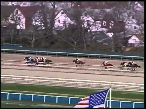 Bellamy Road - 2005 Wood Memorial (G1)