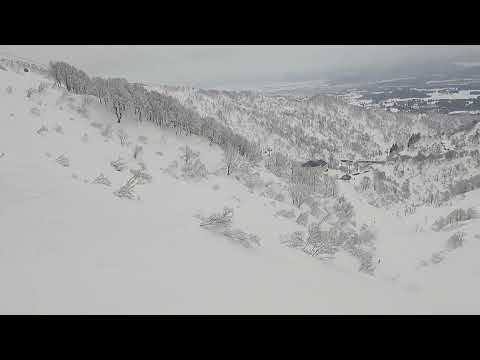 Video: 2022/1/24 ロッテアライリゾート、超上級ワセコース。本格的なフリーライディングのパウダーエリアを味わいたいなら、難しいけどここ！