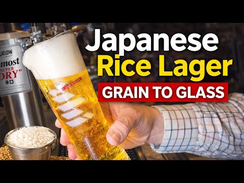 Japanese Rice Lager (Asahi-Style) | Grain to Glass Homebrew